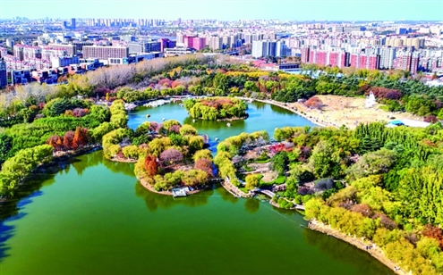 城市建筑、湖泊湿地、绿地绿树融为一体
